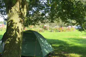 Kampeerboerderij De Baankreis - Zeltplatz unter einem Baum auf dem Campingplatz