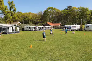 Kampeerterrein Buitenduin - Standplatzwiese auf dem Campingplatz