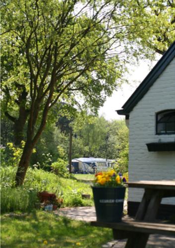 Kampeerterrein de Blauwe Haan