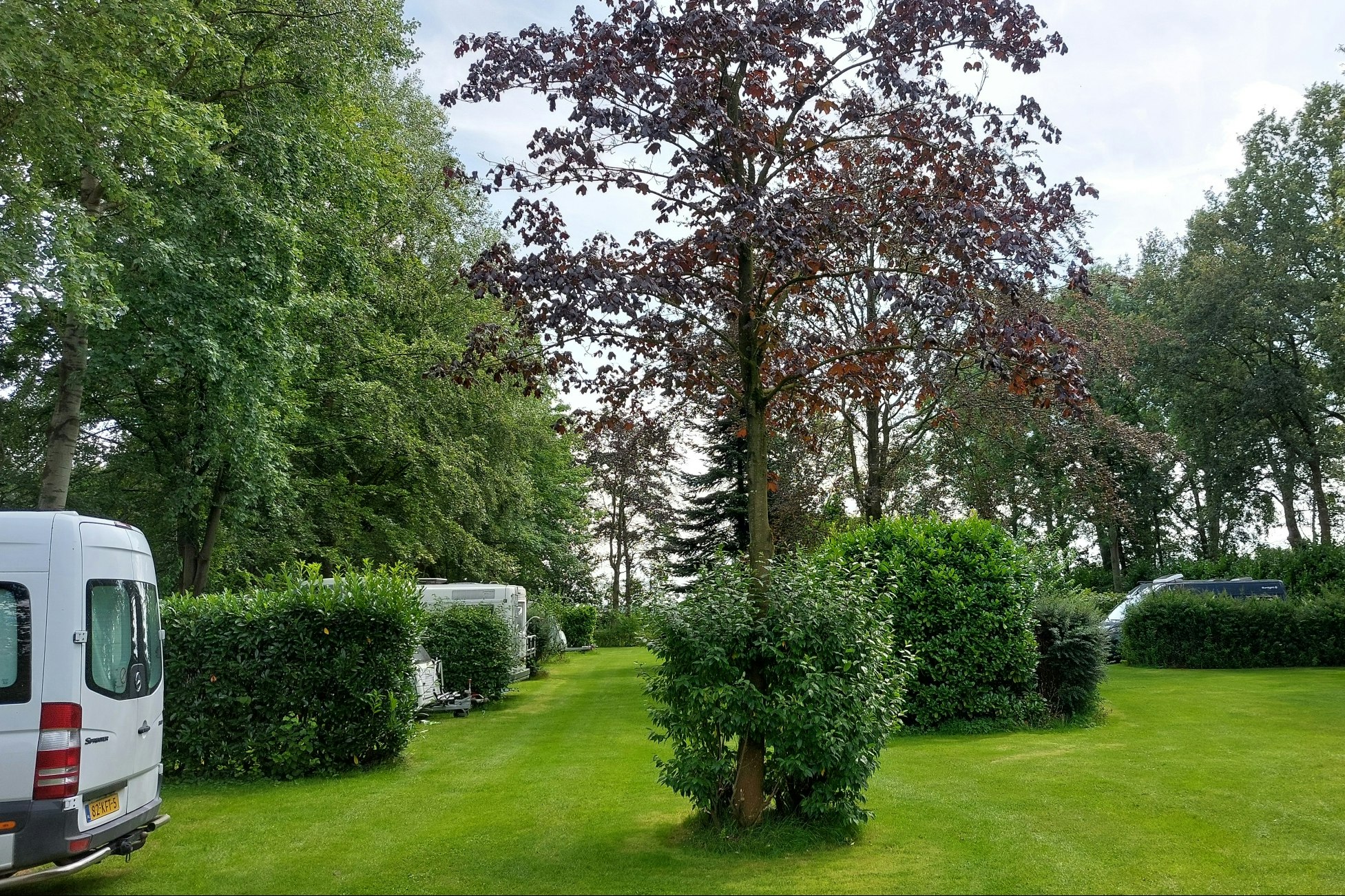 Kampeerterrein De Boekelter - Standplätze auf der Wiese auf dem Campingplatz