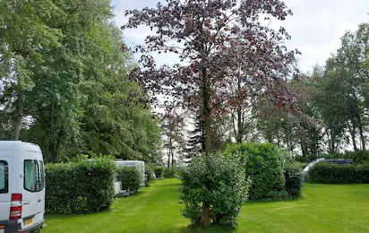 Kampeerterrein De Boekelter