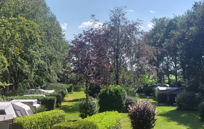 Kampeerterrein De Boekelter