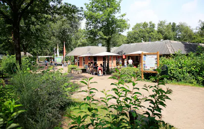 Camping de Vledders