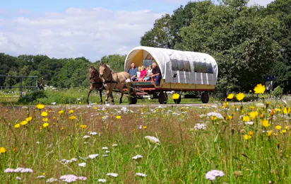 Camping de Vledders