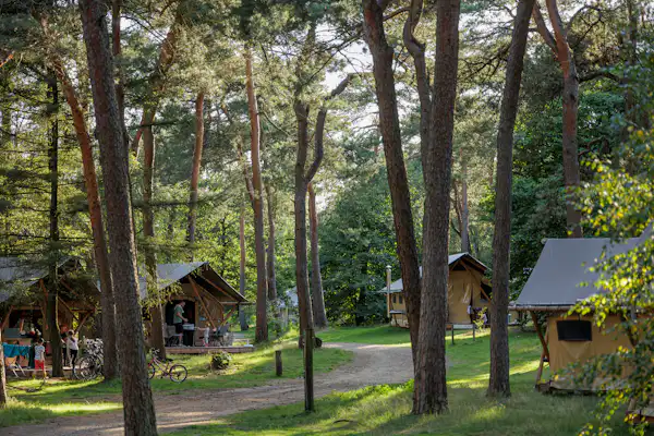 Huttopia De Veluwe