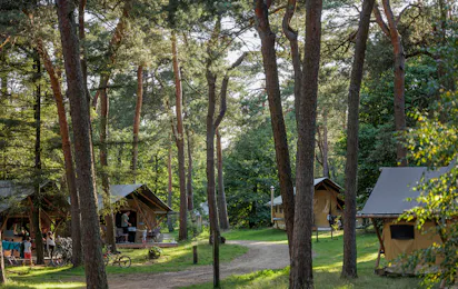 Huttopia De Veluwe