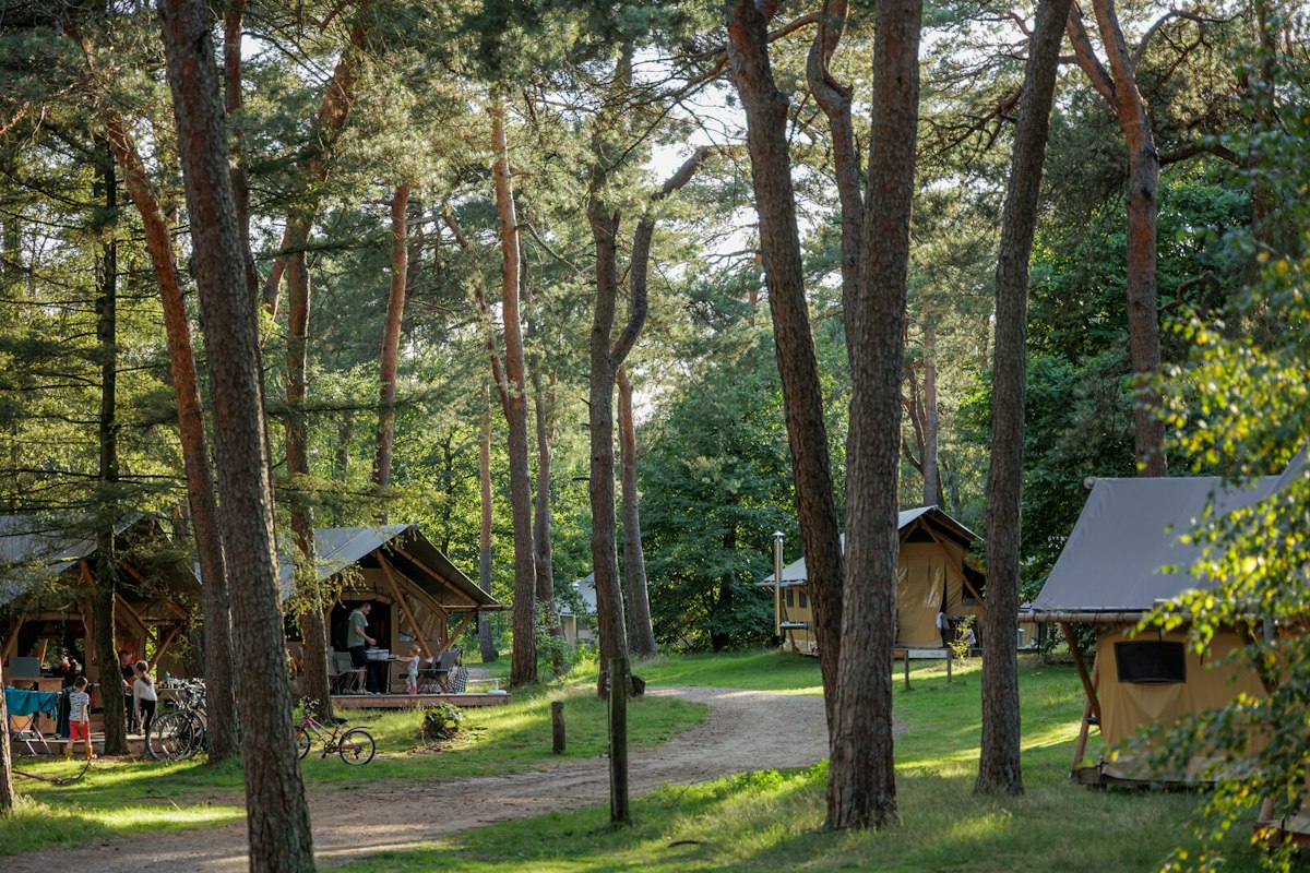 Huttopia De Veluwe (foto 1, bron: ANWB Camping)