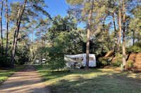 Camping Huttopia De Veluwe - Standplätze für Wohnwagen und Wohnmobile im Halbschatten unter Bäumen
