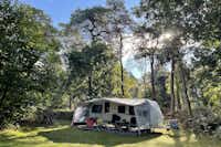 Camping Huttopia De Veluwe - Standplatz mit einem Wohnwagen auf einer Lichtung zwischen Bäumen