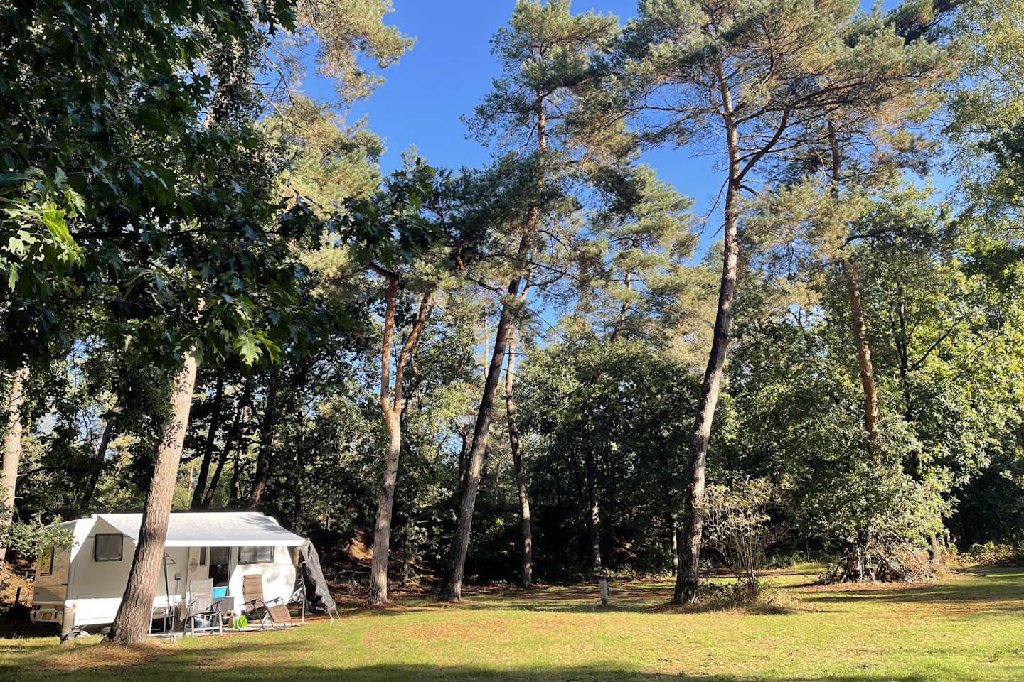 Camping Huttopia De Veluwe - Standplatz teilweise im Halbschatten unter Bäumen