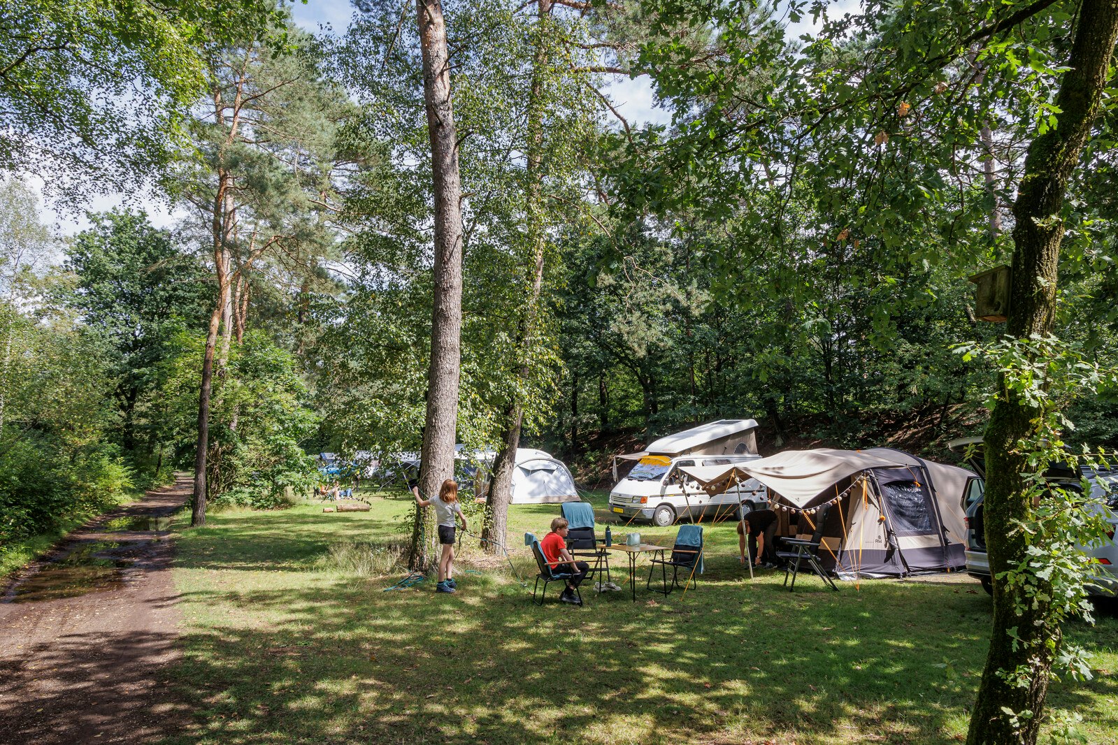 Camping Huttopia De Veluwe - Wohnmobil- und Wohnwagenstandplätze auf der Wiese