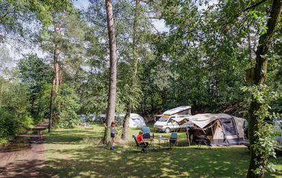 Huttopia De Veluwe