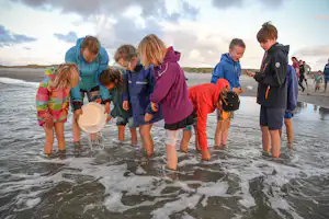Kinder und Erwachsene am Strand im flachen Wasser, eine Person hält einen großen Ball, im Hintergrund Dünen und Meer.