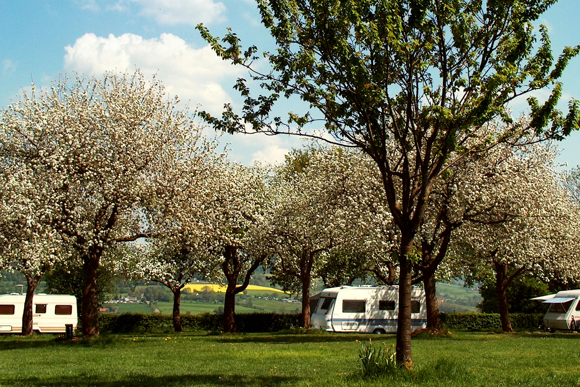 Kampeerterrein Oosterberg  - Stellplätze auf dem Campingplatz