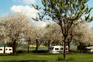 Kampeerterrein Oosterberg - Stellplätze auf dem Campingplatz