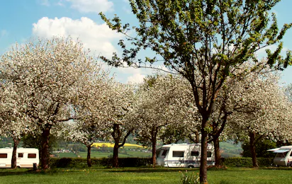 Kampeerterrein Oosterberg