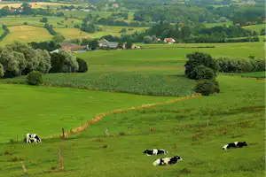 Weite grüne Landschaft mit Kühen auf der Wiese, Feldern und Hecken sowie Häusern im Tal.