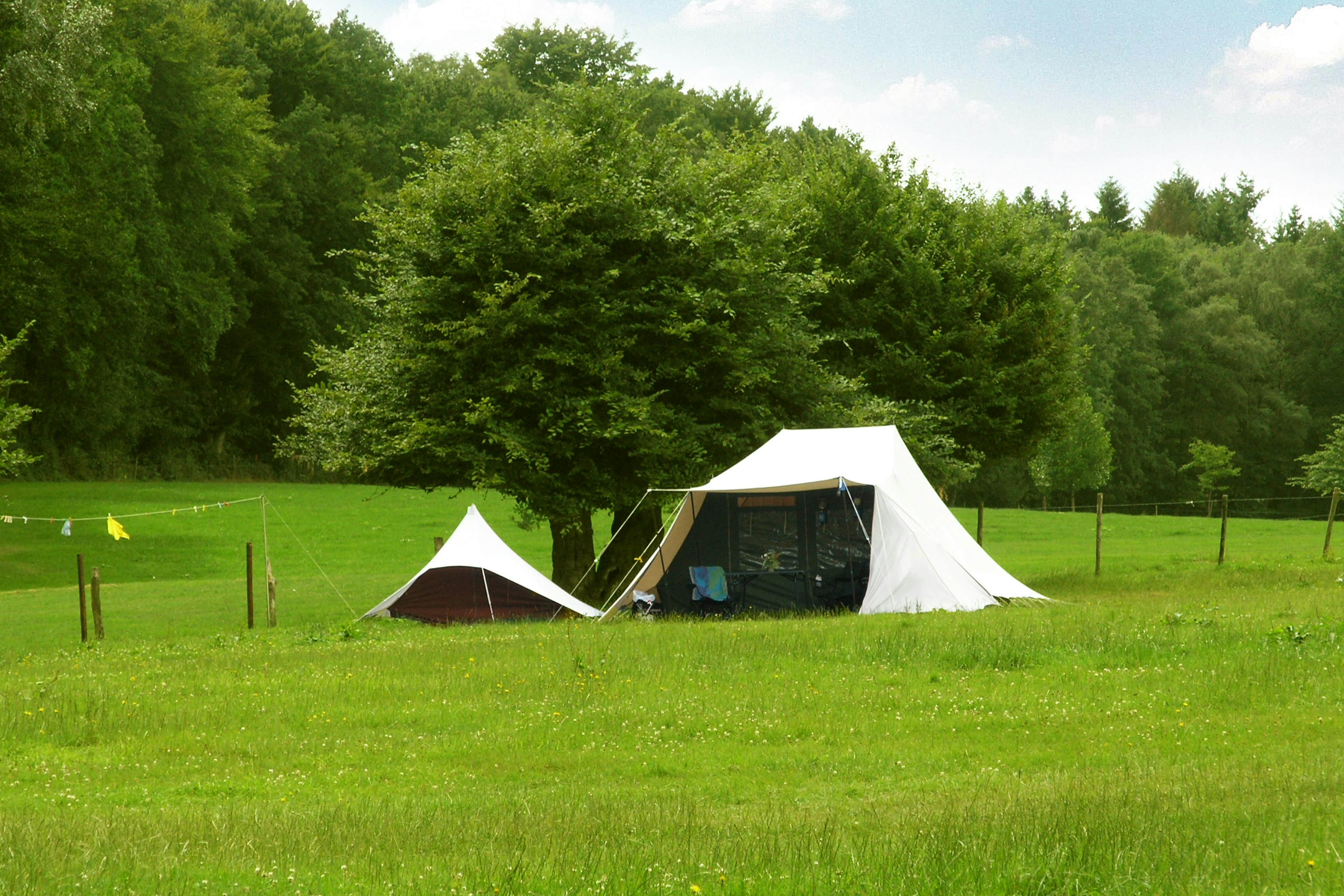Kampeerterrein Oosterberg - Zeltplatz auf der Wiese umgeben von Grün