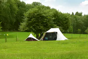 Kampeerterrein Oosterberg - Zeltplatz auf der Wiese umgeben von Grün