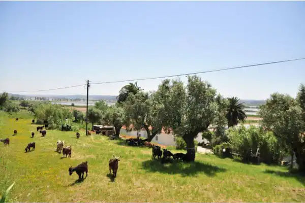 Kampeerterrein Termas da Azenha