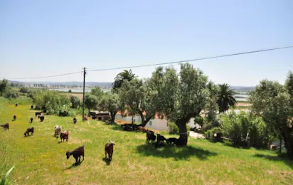 Kampeerterrein Termas da Azenha