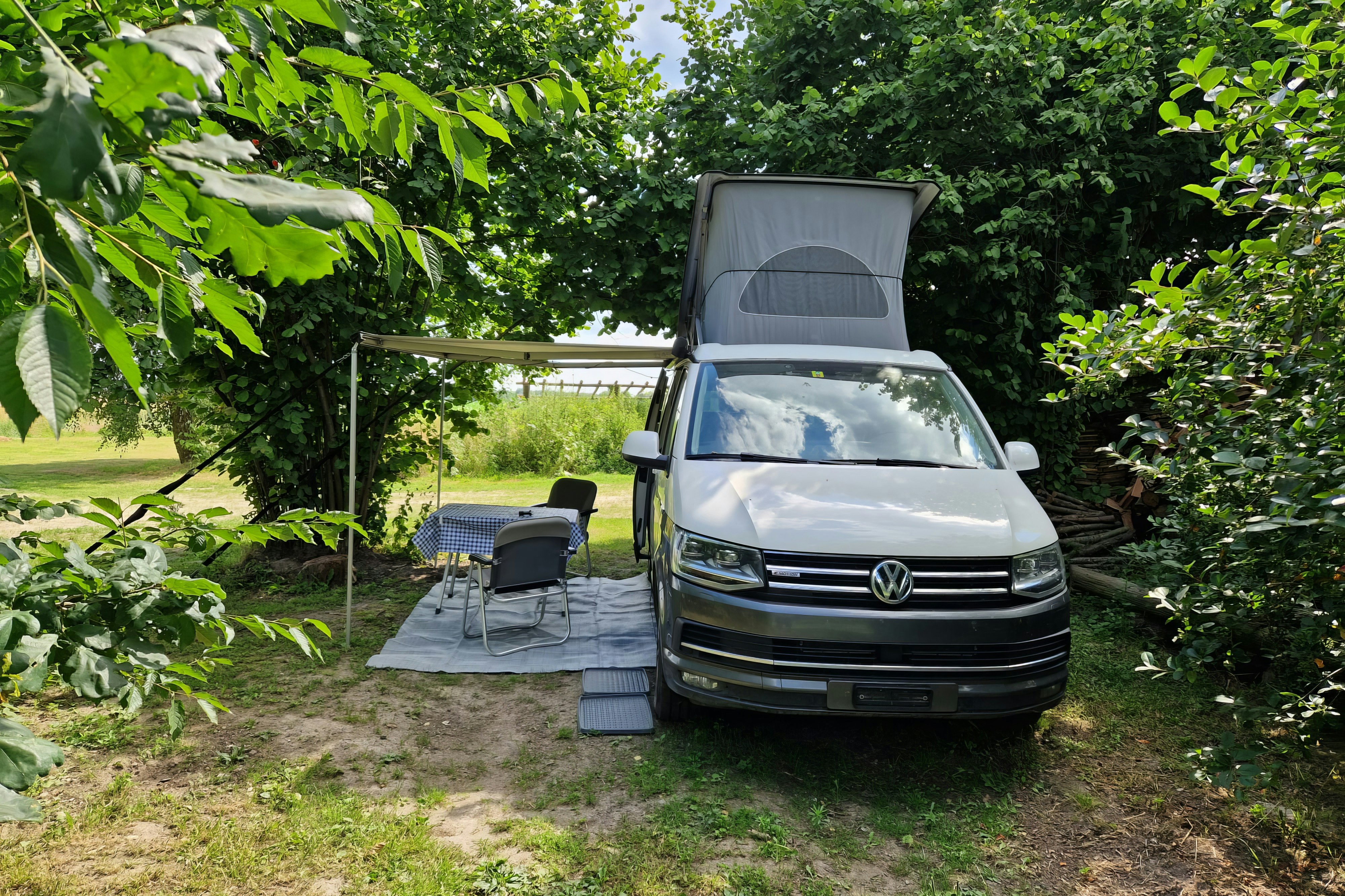 Kampinski Campground and Accommodation - Standplatz umgeben von Bäumen und Büschen