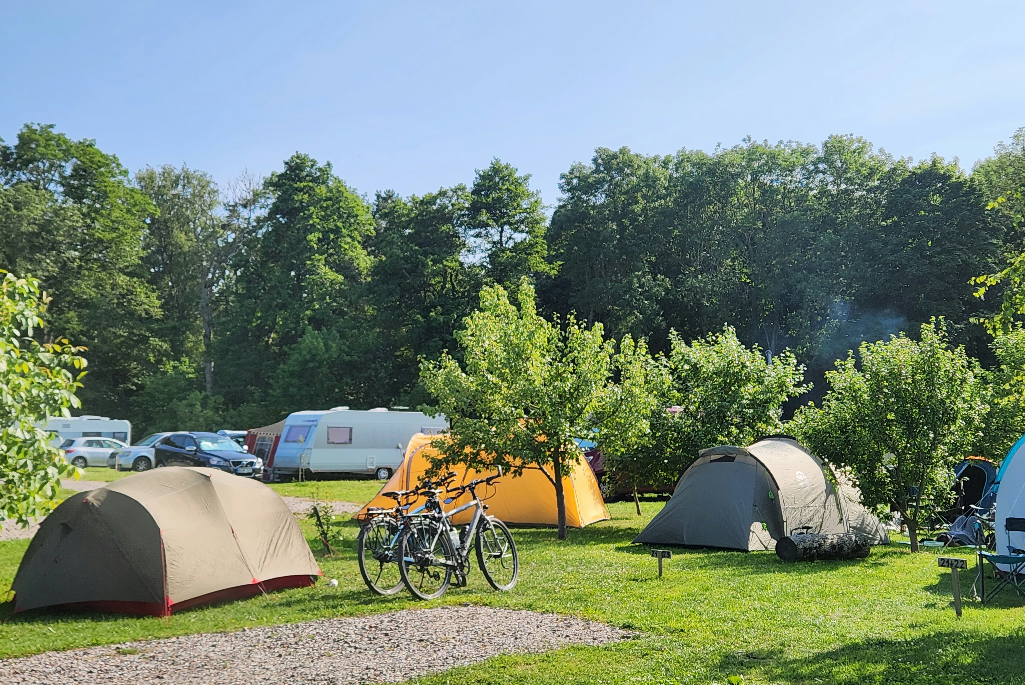 Campingzelte auf einem Stellplatz, Fahrräder vor dem gelben Zelt und weitere Fahrzeuge am Rand, umgeben von Bäumen.