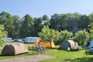 Campingzelte auf einem Stellplatz, Fahrräder vor dem gelben Zelt und weitere Fahrzeuge am Rand, umgeben von Bäumen.