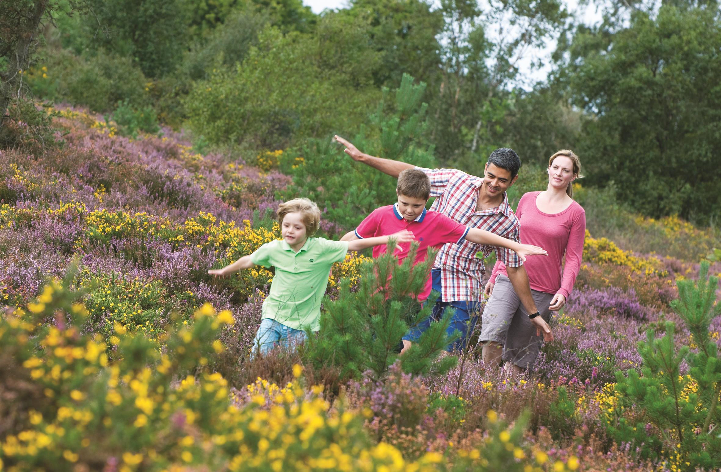 Kelling Heath Holiday Park