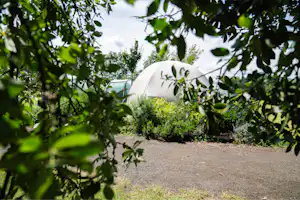 Camp Děčín Kemp Děčín - Glamping-Zelt umgeben von Bäumen