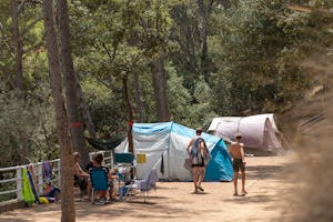 Kim's Camping