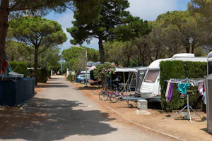 Kim's Camping