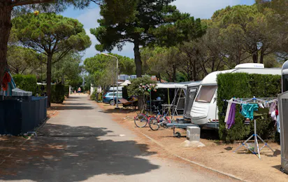 Kim's Camping