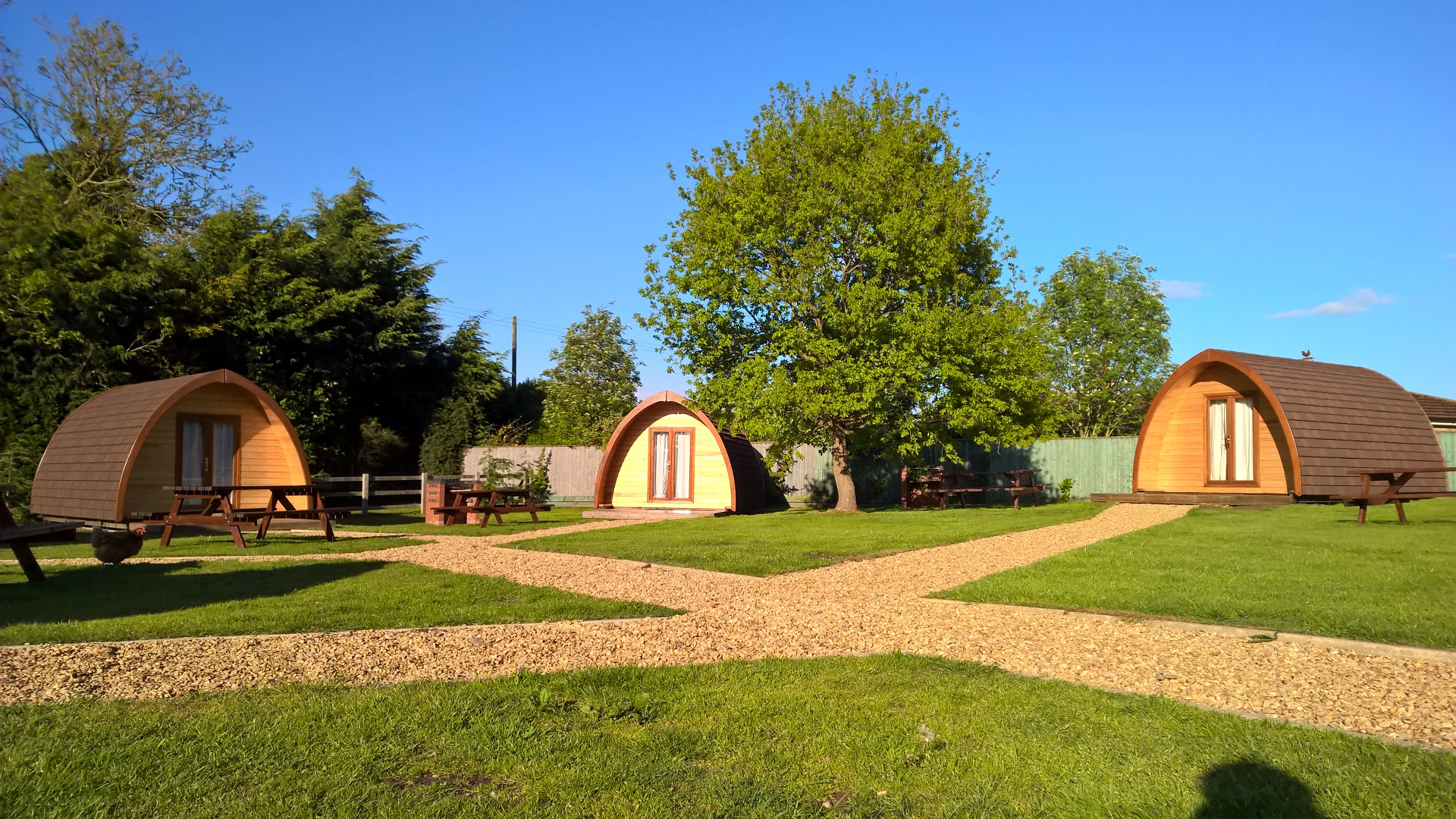 Drei Zelte auf einem Campingplatz mit Rasenfläche, Holzstühlen und Wegen, umgeben von Bäumen und Hecken.
