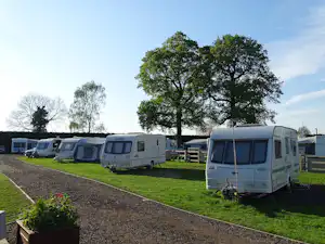 Reihe von Wohnwagen auf einem Campingplatz mit Rasen, Hecken und einem Kiesweg, im Hintergrund weitere Fahrzeuge.