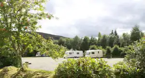 Zwei Wohnwagen auf einem Campingplatz, umgeben von Bäumen und Sträuchern, mit Rasenfläche und Kiesweg.