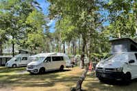 Knattercamping in Bantikow am See  - Stellplätze auf dem Campingplatz