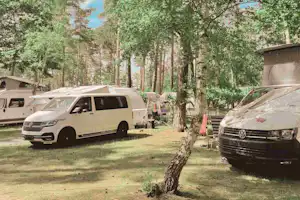 Knattercamping in Bantikow am See - Standplätze auf dem Campingplatz