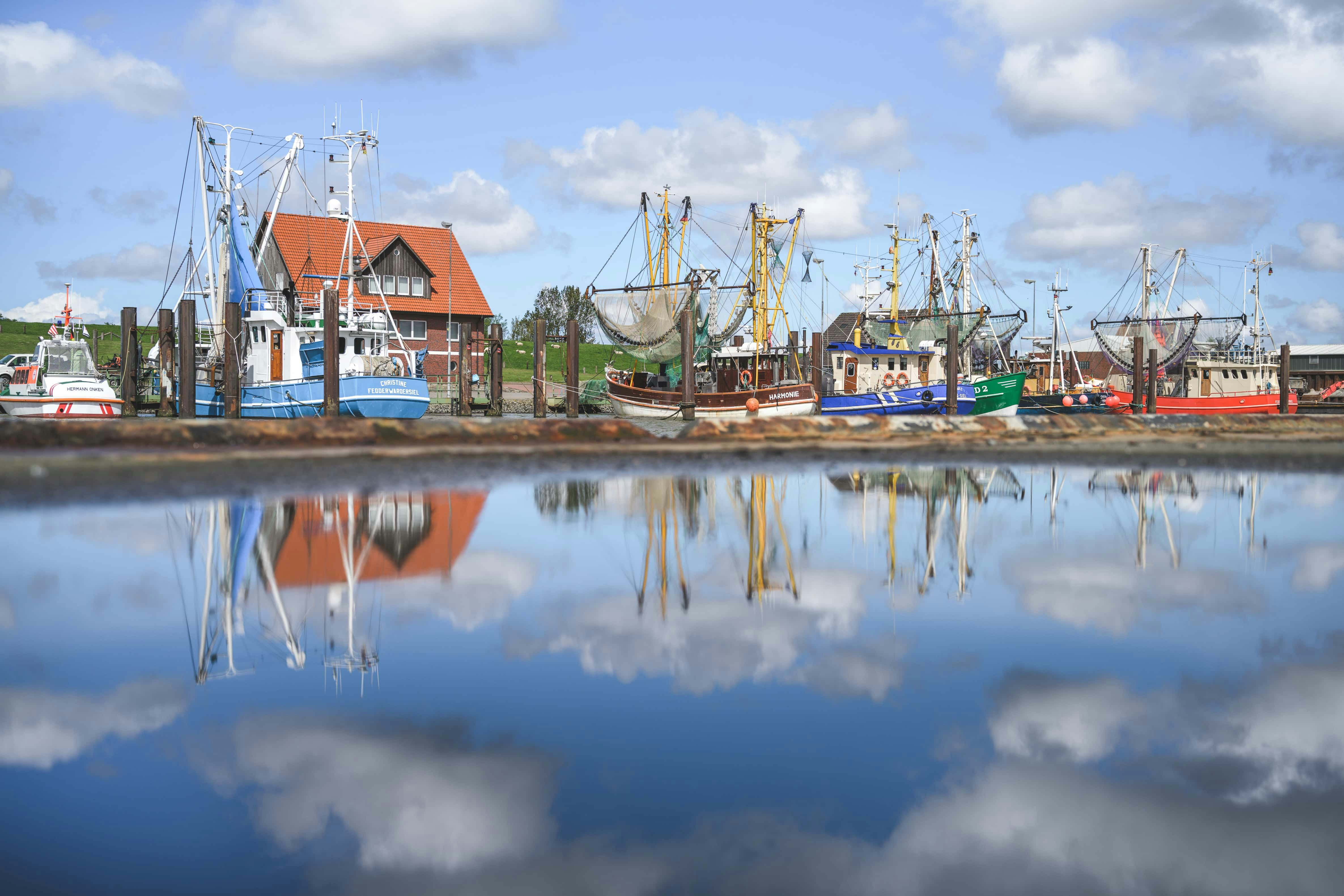 Regenbogen Fedderwardersiel - Hafen am Campingplatz