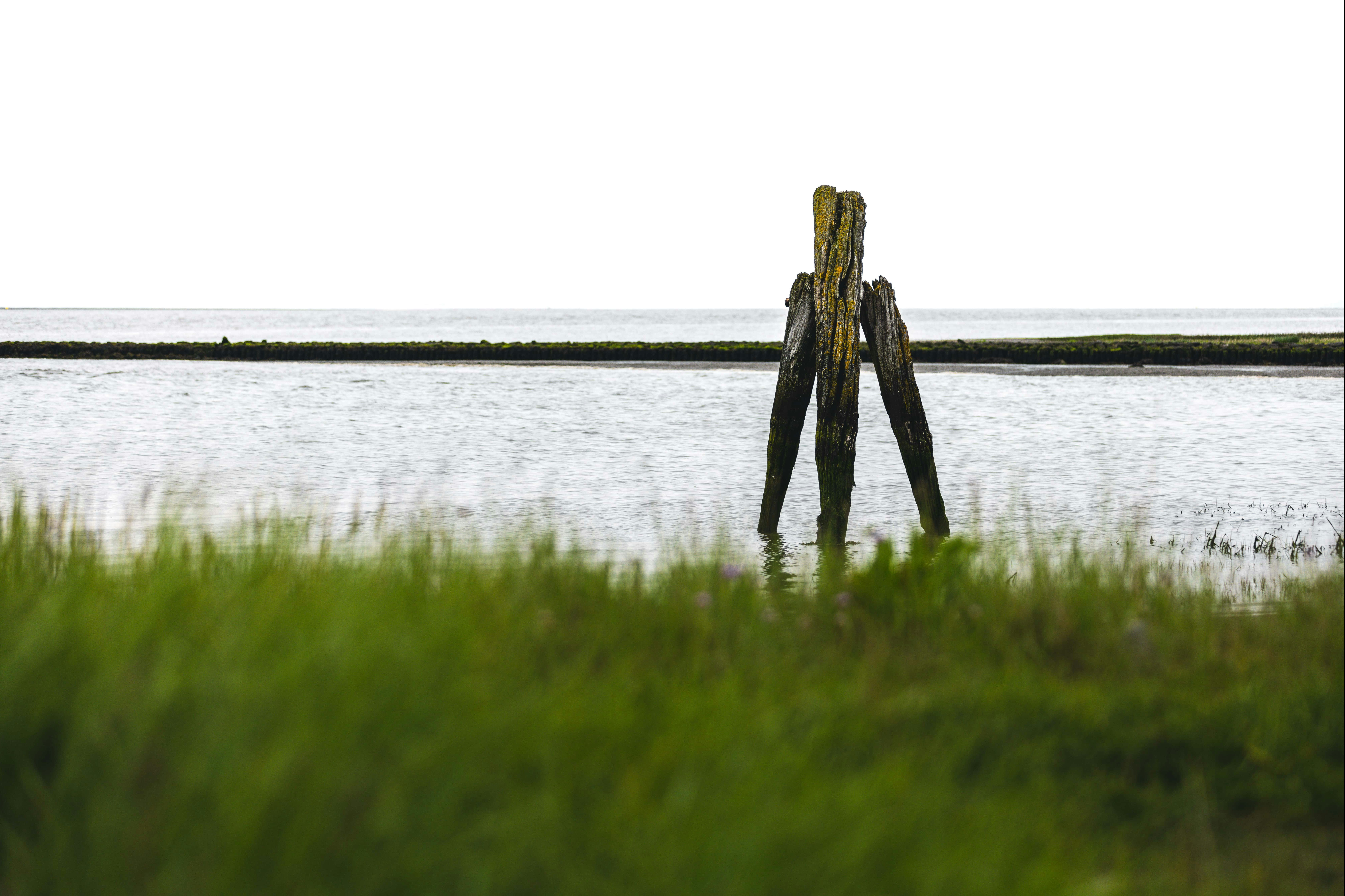 Regenbogen Fedderwardersiel - Hafeneinfahrt am Campingplatz
