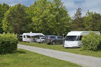 KNAUS Campingpark Hamburg - Wohnmobil- und  Wohnwagenstellplätze auf der Wiese