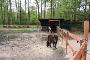 KNAUS Campingpark Oyten/Bremen