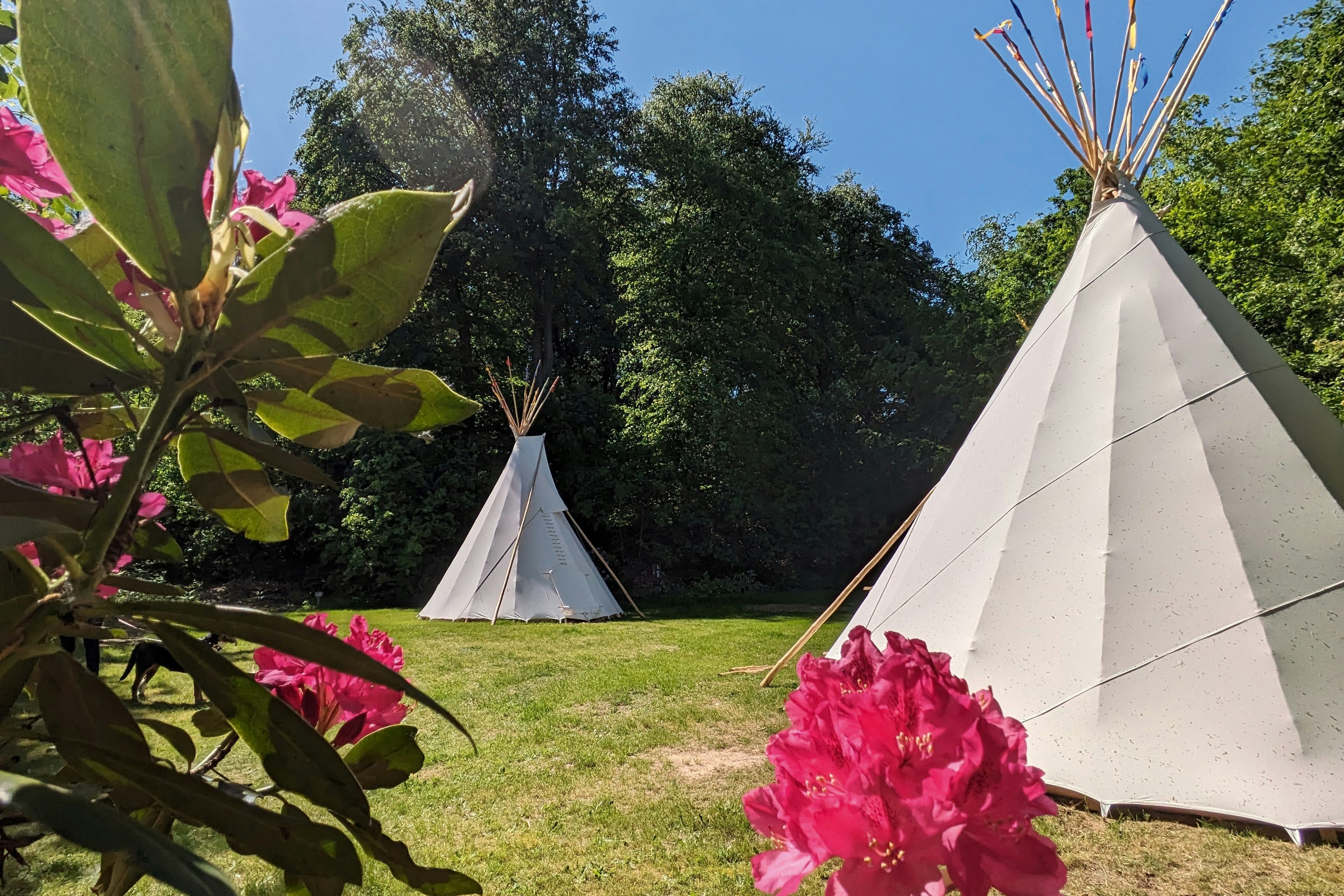 KNAUS Campingpark Wingst