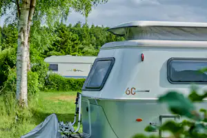 Wohnwagen auf einem Campingplatz im Grünen, neben einem Zelt und einem Baum, mit Rasenfläche und Hecke im Hintergrund.