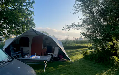Koekoek en de waard
