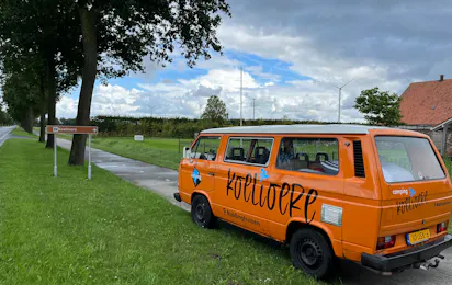 Koelioere