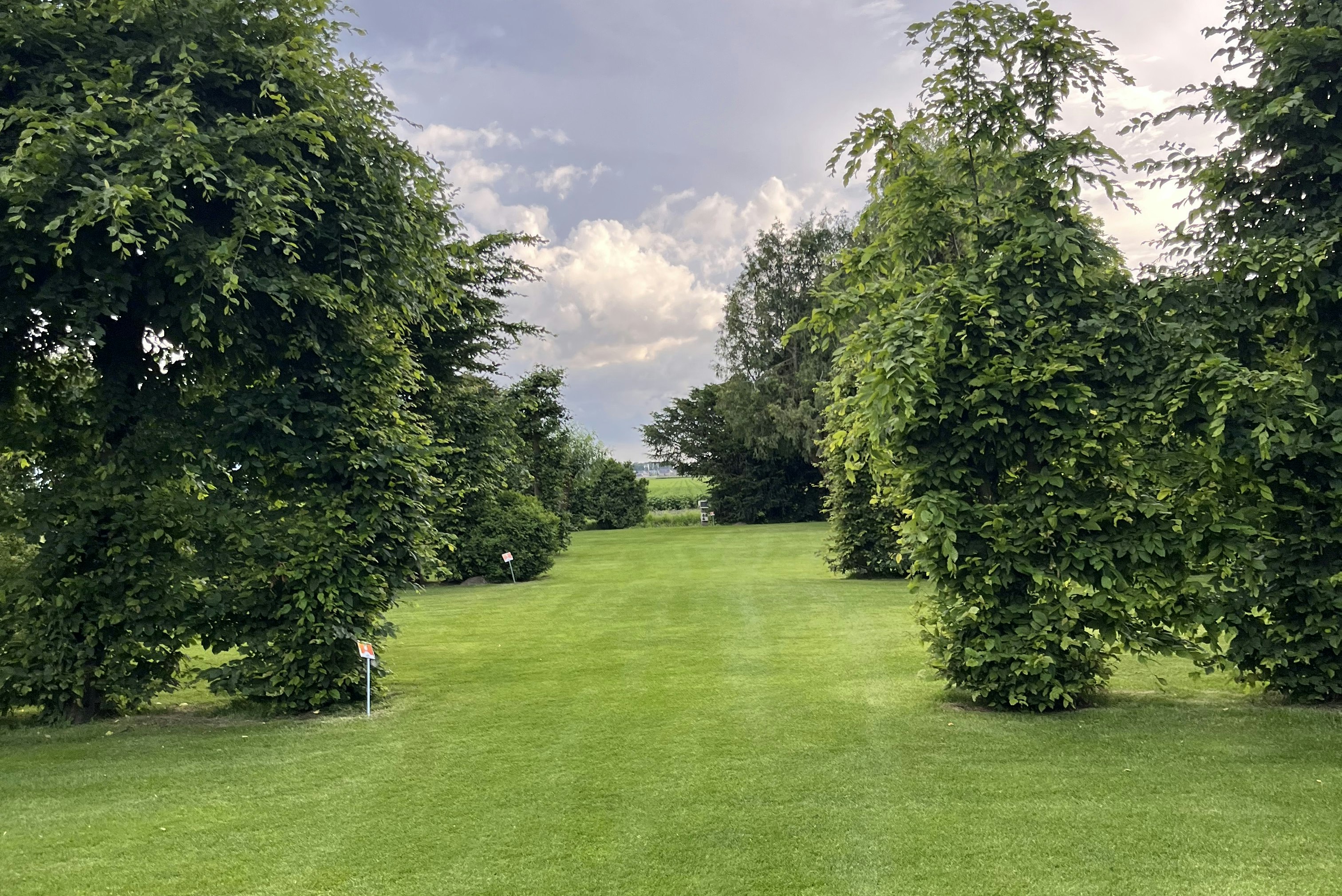 Grüner Rasenweg zwischen Bäumen auf einem Campingplatz, Blick in die Landschaft und zum Himmel mit Wolken.