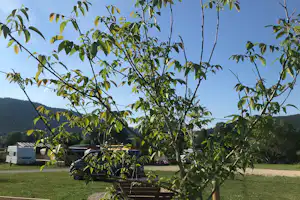 Kohlhofmühl Camping - Stellplätze im Grünen