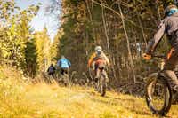 Koli Freetime - Fahrrad- und Wanderwege in der Umgebung des Campingplatzes