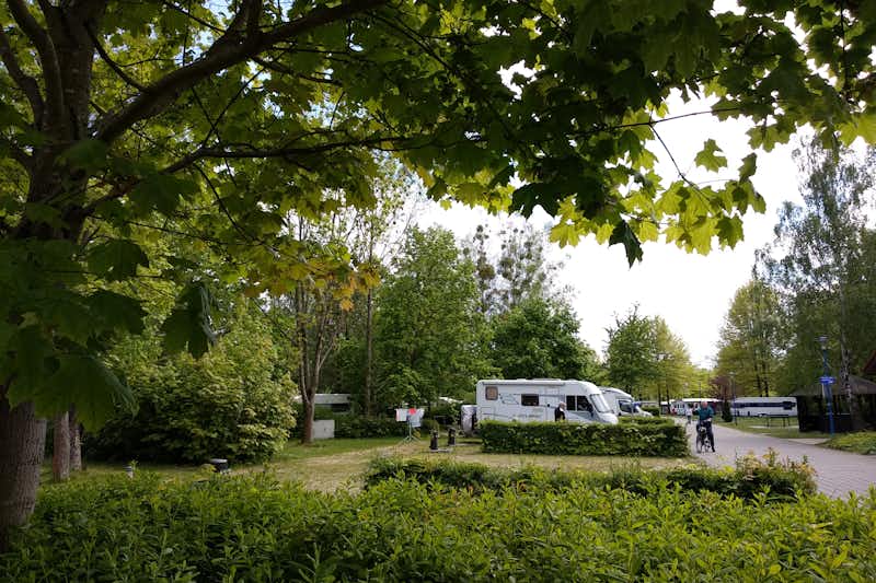 Komfortcamping Senftenberger See - Wohnmobilstellplätze im Schatten der Bäume